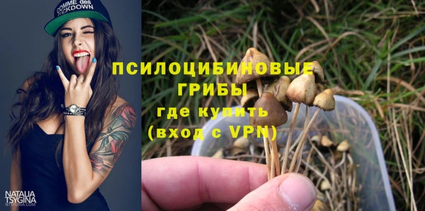 эйфоретик Алексин